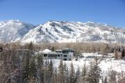 Top Aspen