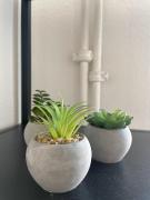 Top Brandenburg an der Havel