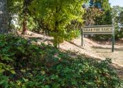 Top Groveland