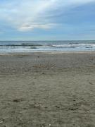 Top Mamaia Nord