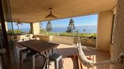 Top Algarrobo