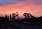 Top Panchgani