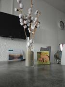 La Fleur de Roseau 200m de la plage 300 m des Commerces