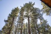 Top Big Bear City