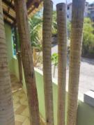 Casa da Zeti em Búzios Manguinhos,