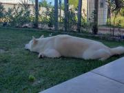 Top Mata de São João