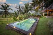 Top Ubud