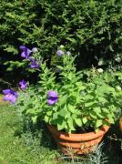 Top Garmisch-Partenkirchen