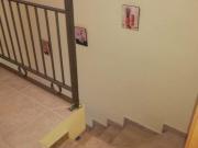 Top Les Planes del Rei