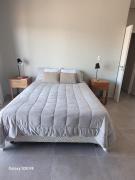 Tupungato entre viñas, valle de Uco