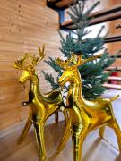 Top Krajno Pierwsze Top Krajno Pierwsze