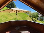 Top Schladming