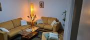 Grey apartment Novi Beograd