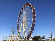 Top Berck-sur-Mer