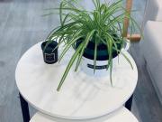 Top Alhama de Aragón