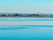 Top Marseillan