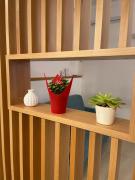 Top Castellammare di Stabia