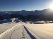 Top Arosa