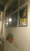 10 Park Street , Gorakhpur