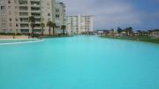 Top Algarrobo