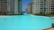 Top Algarrobo