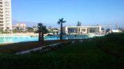 Top Algarrobo