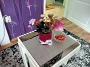 Top Valjevo