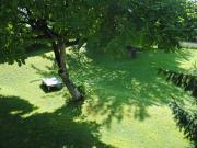 Top Uhldingen-Mühlhofen