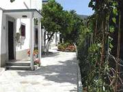 Harrys bar & apartments Harrys bar & apartments