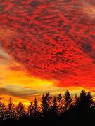 Top Kirchdorf im Wald