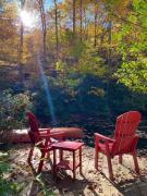 Top Sylva