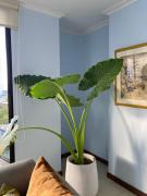 Top Cartagena de Indias Top Cartagena de Indias