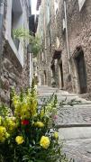 Top Dolceacqua