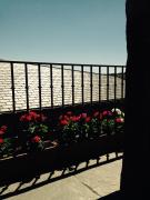 Top Puebla de Sanabria