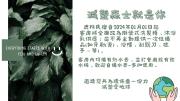 Top Wufeng