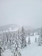 Top Kopaonik