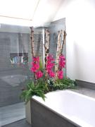Top Marignier