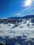 Top Zlatibor