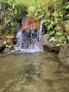 Reserva Wanaka, San Carlos