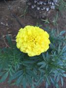 Top Santa Croce Camerina