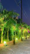Top Alibaug