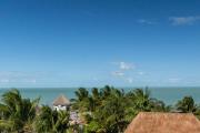 Top Isla Holbox