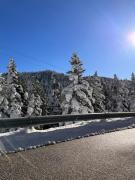 Top Elati Trikalon Top Elati Trikalon