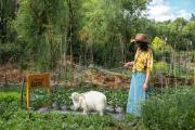 Top Lijiang