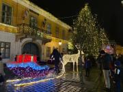 Poppy Flower Apartment