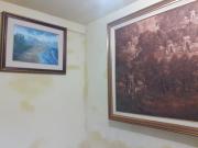 Geria bun bed & paint art gallery