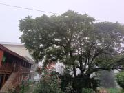Top Manāli