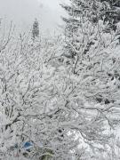 Top Luftkurort Lückendorf