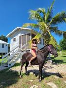 Top Sarteneja Top Sarteneja