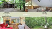Treetop Cabin -- Pool Access - Fireplace - Grill - Screen Porch - Deck - Wifi - Golf Nearby